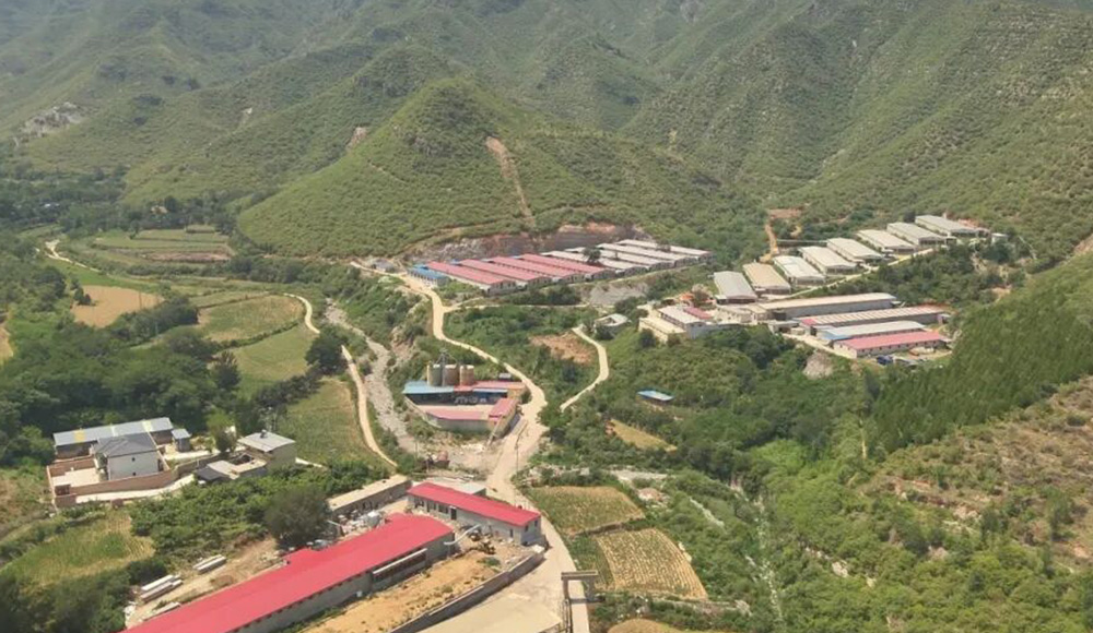 2024 Hebei Laying Hen عرض مشروع قفص الرعاية الاجتماعية