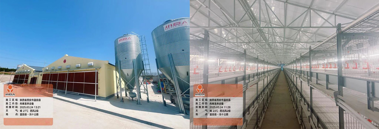 تعمل Little Giant على تمكين مشروع حديقة Lantian الحديثة لتربية الدجاج اللاحم من الدخول في مرحلة الإنتاج